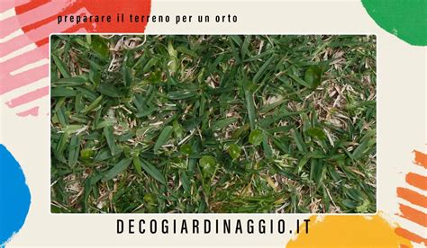 Preparare Il Terreno Per Un Orto Casa Giardinaggio