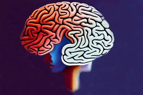 This Is Your Brain This Is Your Brain On Code Mit News