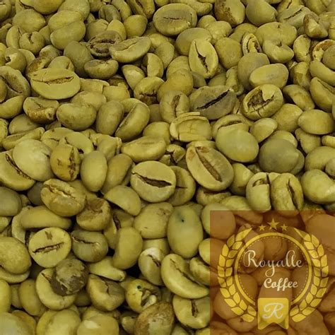 Robusta Dampit Ap1 Green Bean Robusta Royalle Coffe