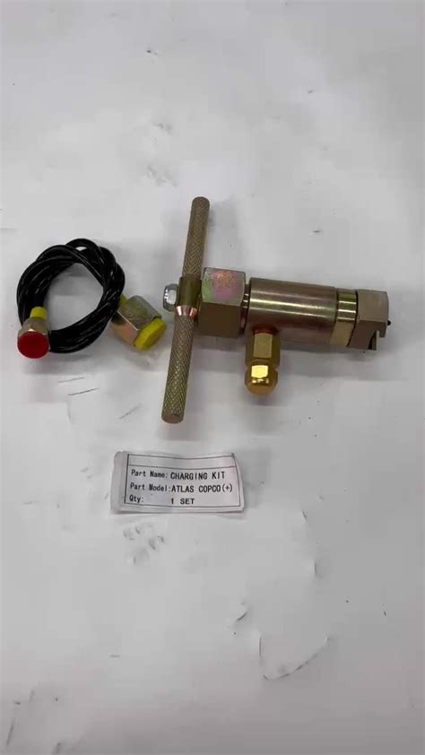 Hydraulic Breaker N2 Charging Valve For Npk Dmb Ub Hm Brh Nitrogen Gas