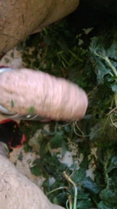 After Hardcore Nettles Fun German Gay Porn Xhamster