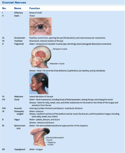 Physical Diagnostics 11 1 11 2 Flashcards Quizlet