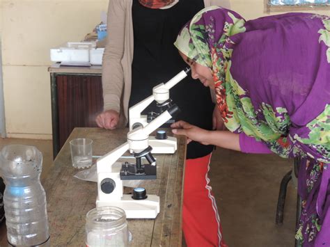 FogHarvesting: sustainable water solutions for Morocco - Think Human Fund