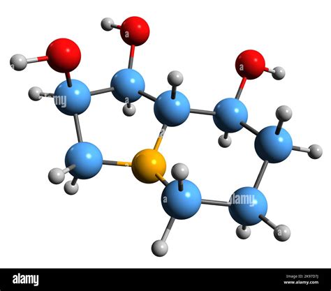 3d Image Of Swainsonine Skeletal Formula Molecular Chemical Structure