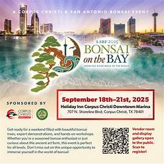 Craigslist Of Corpus Christi Dont Miss These Incredible Opportunities