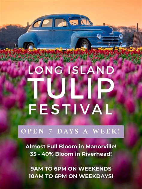 Long Island Tulip Festival at Waterdrinker Manorville | Kids Out and