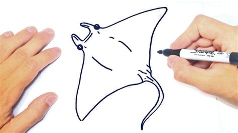 Como Dibujar Una Raya Easy Drawings Dibujos Faciles Dessins Images