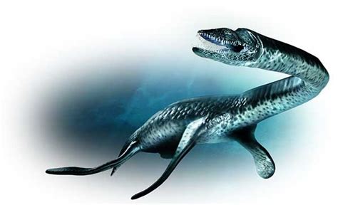 Top 10 Most Popular Dinosaur Pokemons Mydinosaurs