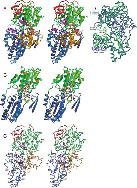 The Structure of a Pyrophosphate-Dependent Phosphofructokinase from the ...