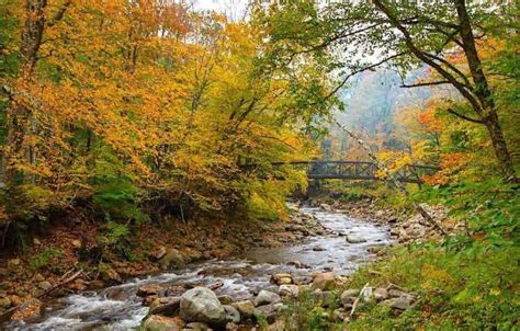 Highlights of the Green Mountain National Forest in Vermont