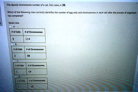 Solved The Diploid Chromosome Number Of A Cat Felis Catus Is Which