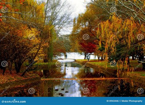 Lovers Bridge Stock Photo Image Of Crossing Lake Love 8943446