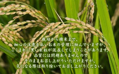 【楽天市場】【ふるさと納税】米 令和6年産 はれわたり 無洗米 20kg 10kg×2袋 白米 こめ お米 おこめ コメ ご飯 ごはん 令