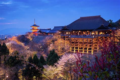 Kyoto Japan Cherry Blossoms Photograph by Pete DeMarco - Fine Art America