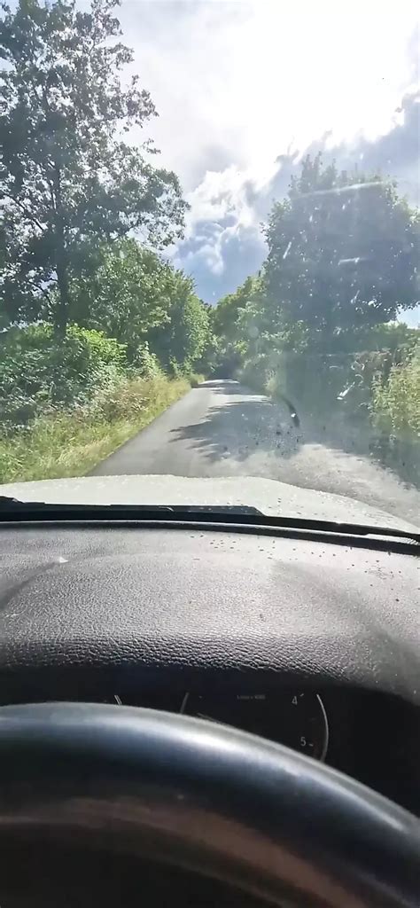 Sex Im Auto Mit Einem Sch Nen Sexy Fremden Xhamster