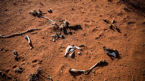 Naked And Afraid Apocalypse 2025 Location Where Is It Filmed