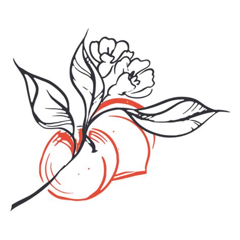 Flowers And Fruits Line Art Png Svg Design For T Shirts