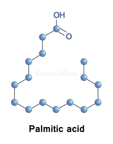 Ácido Palmítico O Hexadecanoic Ilustración del Vector Ilustración de