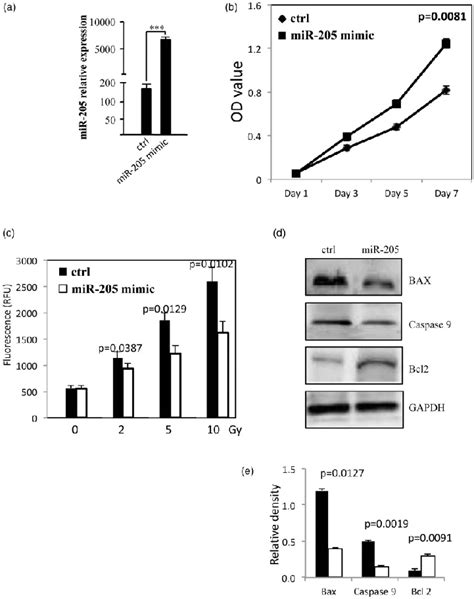 Micro Rna Mir 205 Promotes Proliferation And Reduces Download Scientific Diagram