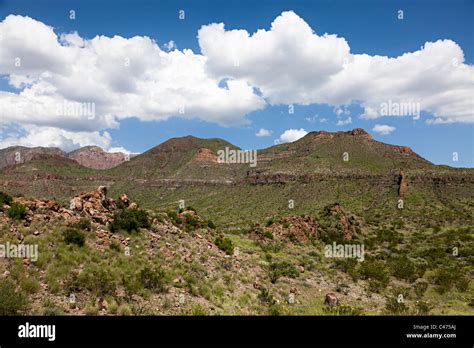 Chihuahuan Desert Big Bend National Park Texas Usa Stock Photo Alamy