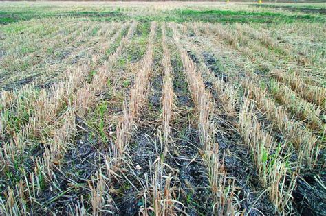 making    microbes  soil restoration  function
