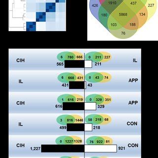 Figure S1 Steps Of Identifying Differentially Expressed Genes