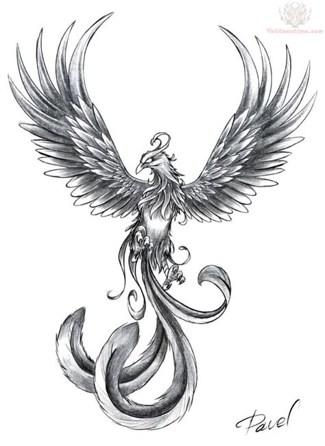 The 12 Best Small Phoenix Bird Tattoo Images On Pinterest Phoenix