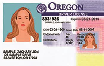 Oregon Drivers License Template PSD Photoshop File