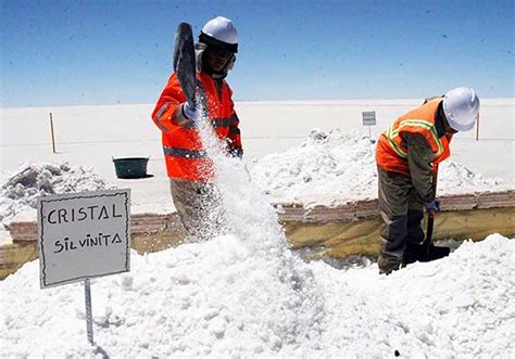 Ylb Proyecta Triplicar Ingresos Por La Venta De Potasio Y Litio Contacto Económico