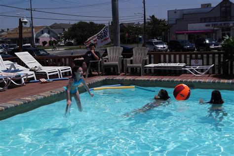 Sea Horse Motel Lbi16 Sea Horse Motel