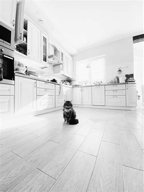 Kitchen Floor Options Part I Dupont Kitchen And Bath Llc