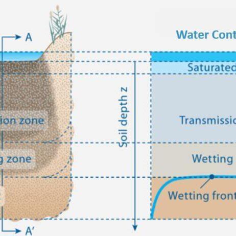 Illustration Of The Twodimensional Spatial Distribution Of Soil