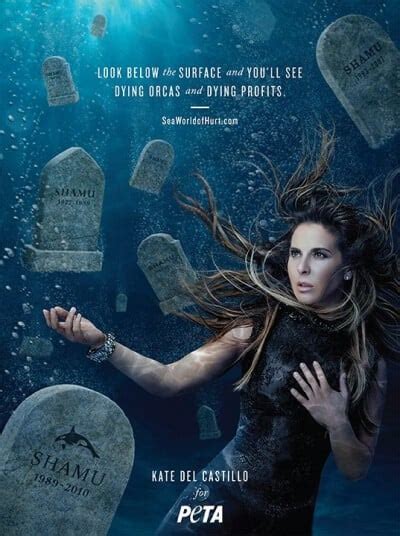 Kate del Castillo Exposes Horror at SeaWorld | PETA