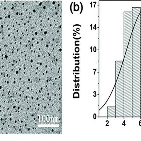 Representative Tem Analysis Of Agnps In A Nanocomposite Hydrogel Based