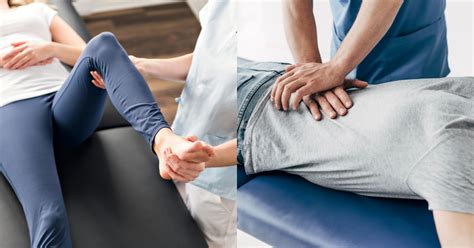 What Is The Difference Between Physiotherapy And Chiropractor Clover