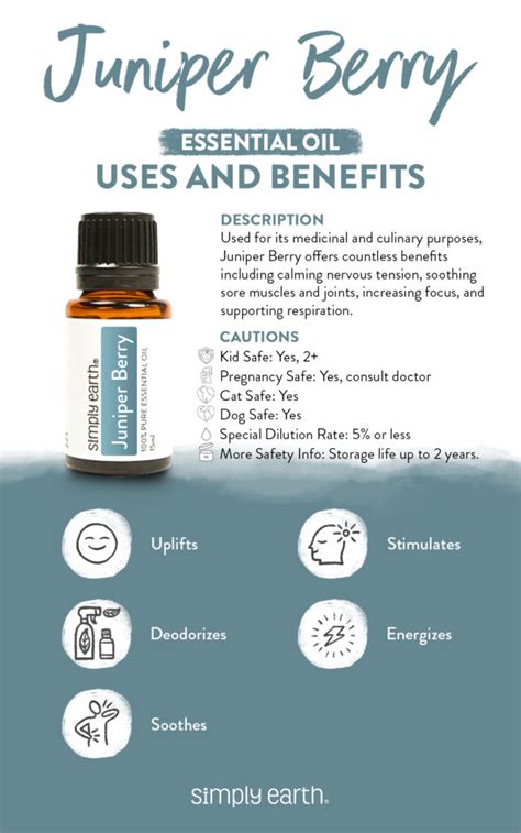 amazing juniper berry essential oil benefits simply earth blog