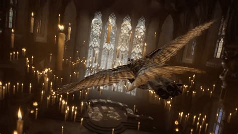 Hogwarts Legacy: Trophies and Achievements Revealed - Deltia's Gaming