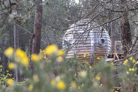 25 Best France Treehouse Rentals 2024 - Top Treehouses