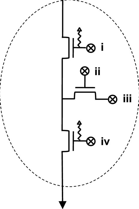 generic tsv receptacle  general purpose tsv receptacle supports