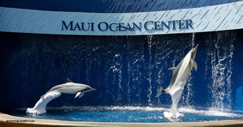 Maui Ocean Center Tickets - Maui Aquarium information