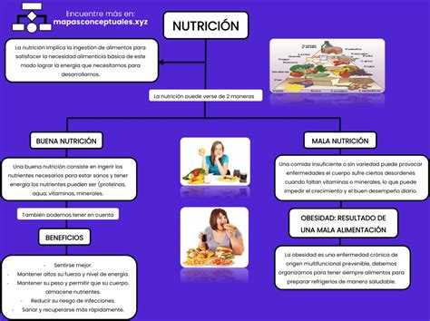 Mapa Conceptual Sobre La Nutricion Hot Sex Picture