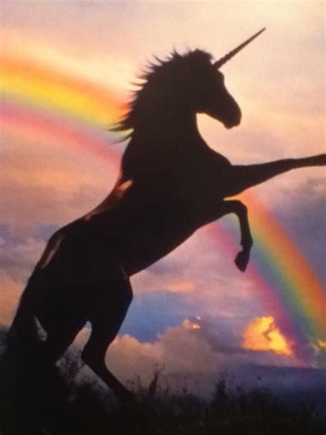 Black Unicorn Rainbow Pegasus Unicorn Real Unicorn Black Unicorn