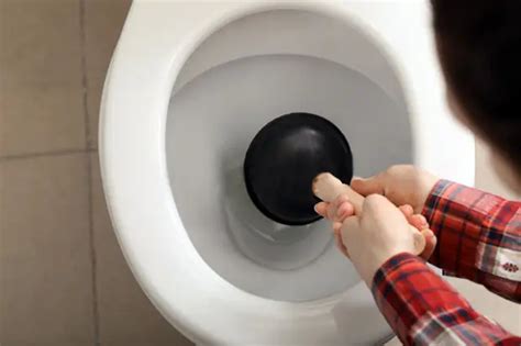 9 советов по сантехнике, которые стоит знать каждому - Квартира, дом ...