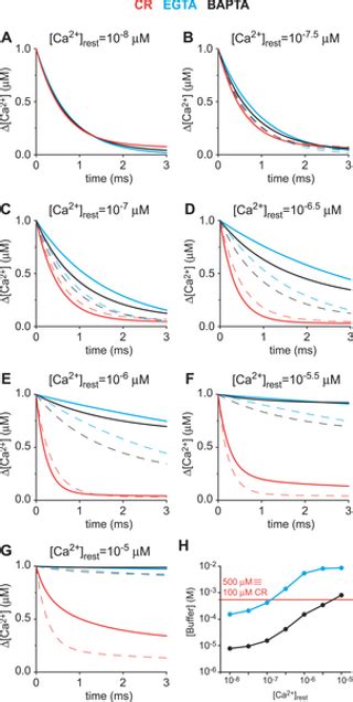 Resolving The Fast Kinetics Of Cooperative Binding Ca2 Buffering By