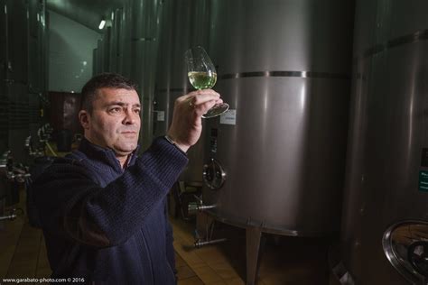 Ethereo Albarino 2021 Naked Wines