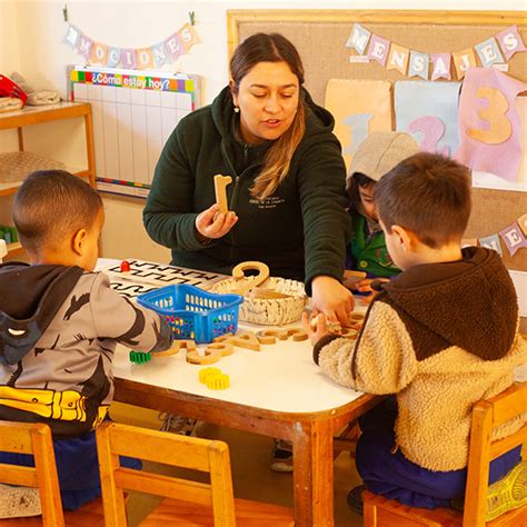 Transferencia Pedagógica Fundación Educacional Choshuenco