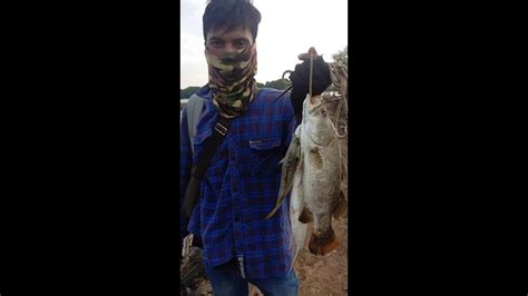 Mancing Seru Di Sungai Umpan Jangkrik Sensasi Strike Part Youtube