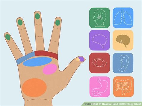 Hand Reflexology Charts Reflexology Points Techniques And More