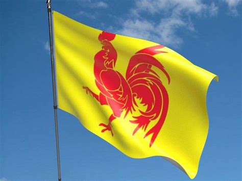 Wallonien Coq Wallon Flag | Buy Wallonien Coq Wallon Flag | NWFlags