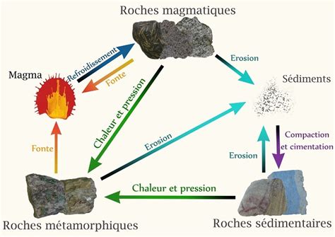 Cours Les Types De Roche Quizizz